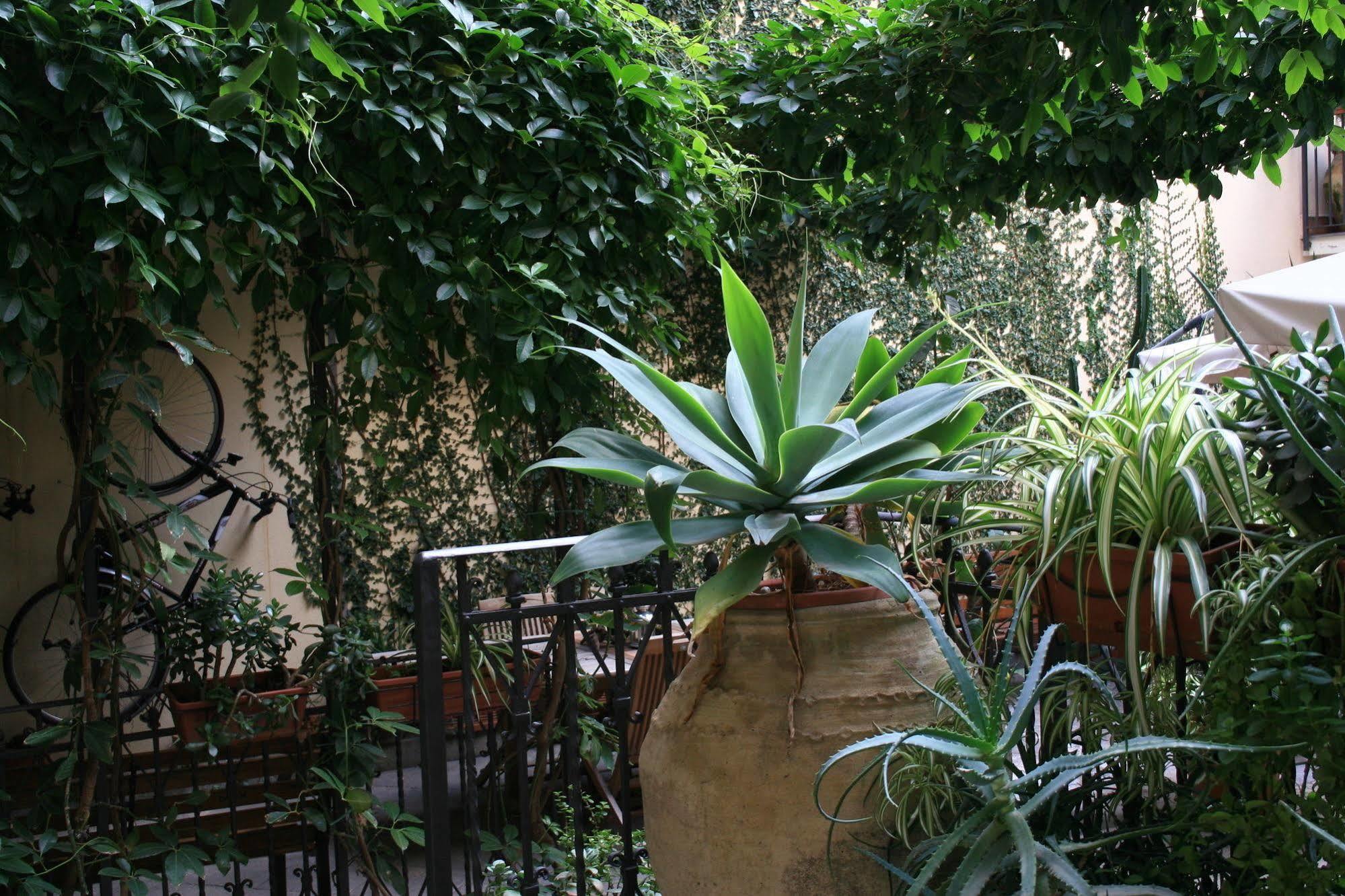 Casa Barbero Charme B&B CTA Eksteriør bilde